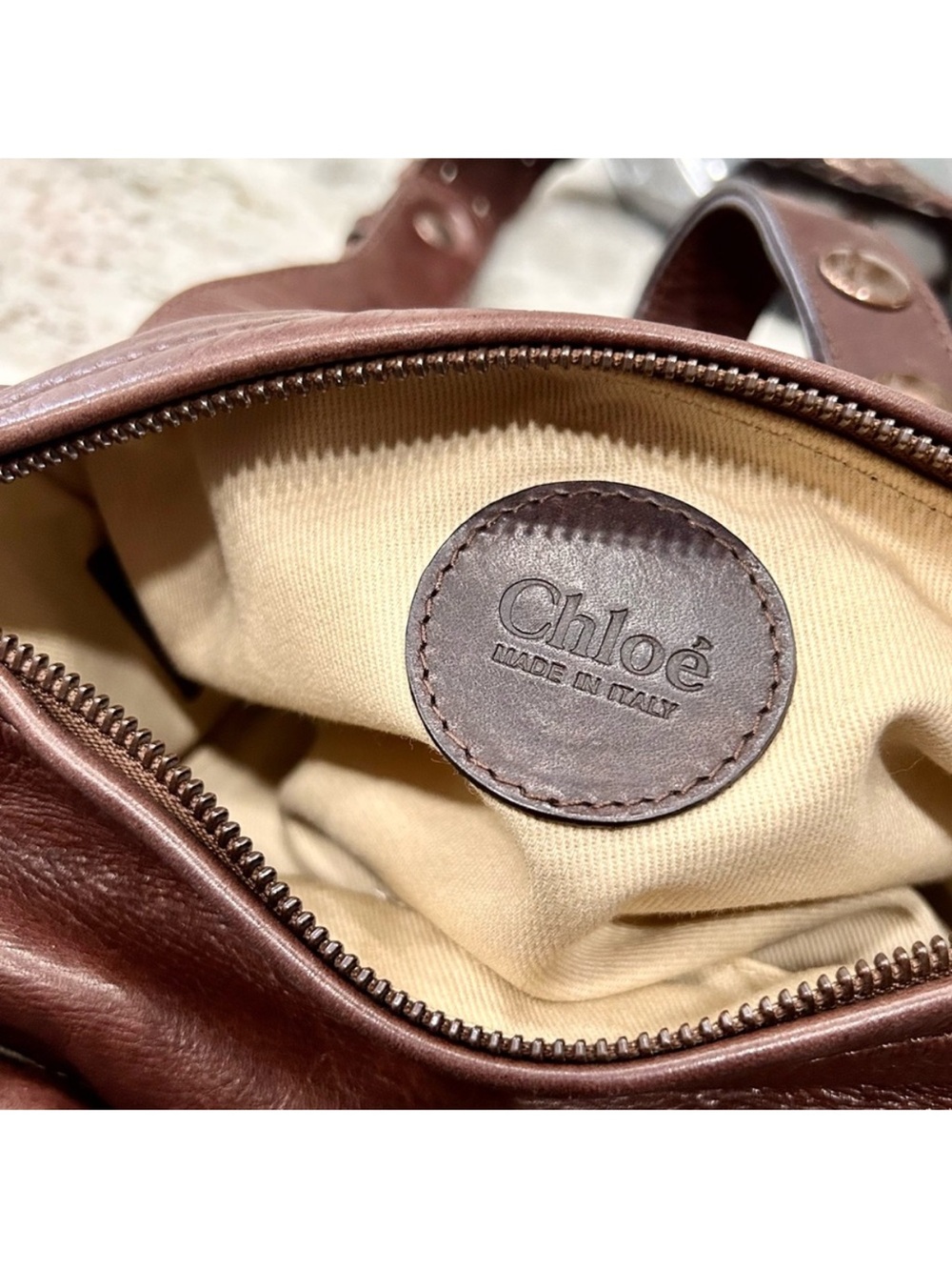 Chloe Authentic Bronze Metallic Python and Leather Silverado Bag Rare - Picture 14 of 15